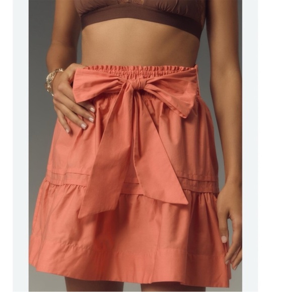 Anthropologie Dresses & Skirts - NWT Anthropologie The Somerset Mini Skirt in rose size large